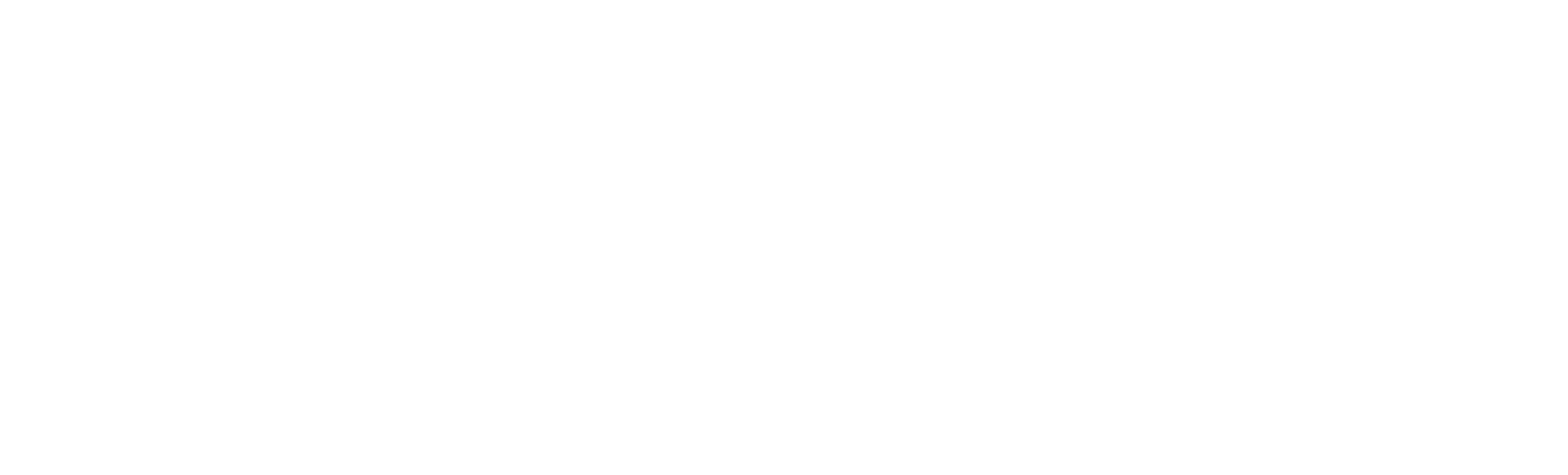 TELENET 04